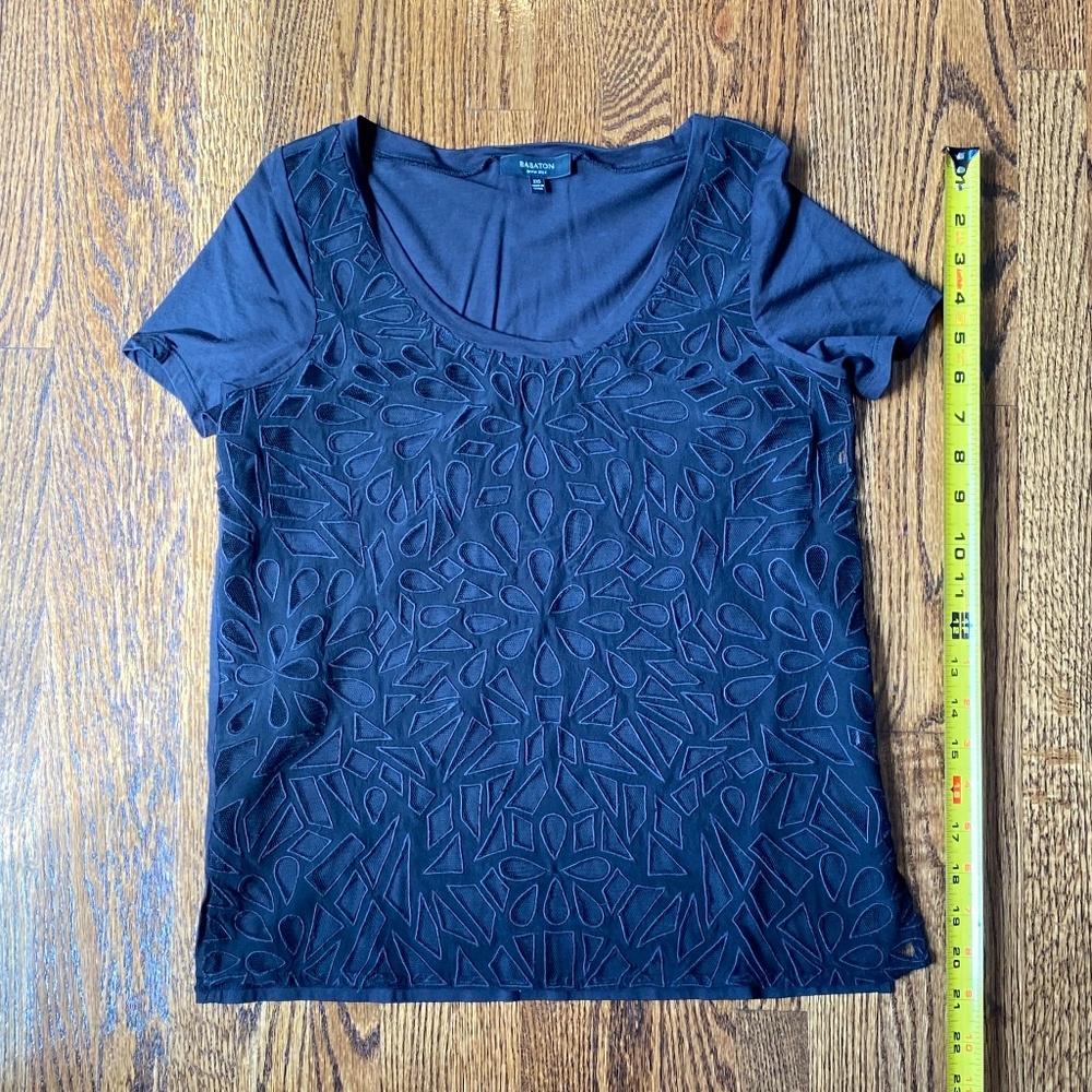Babaton Aritzia Shirt